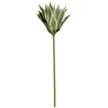 Plante artificielle – Sansevieria vert-blanc