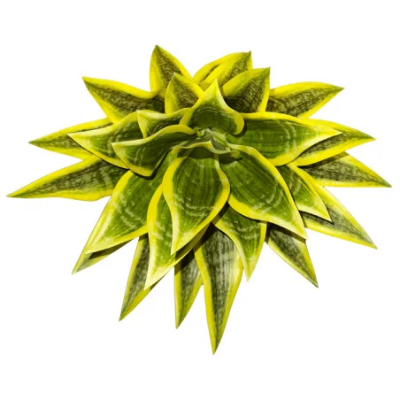 Plante artificielle – Sansevieria verte à bord jaune