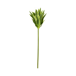 Mini Auti Artificiel Vert et Jaune – Tige Décorative