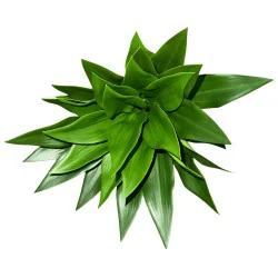 Plante artificielle – Feuillage vert tropical