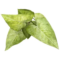 Feuillage artificiel – APE vert clair