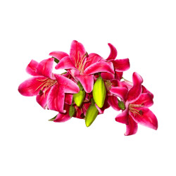 Bouquet de Lys Rose Foncé Artificiels