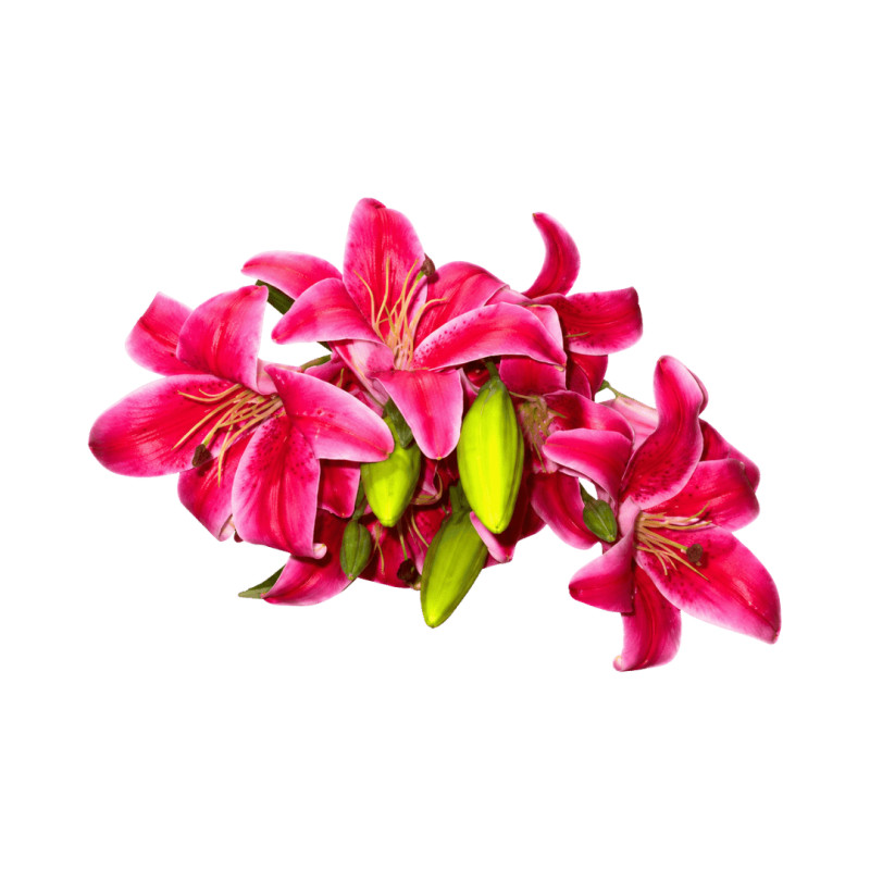 Bouquet de Lys Rose Foncé Artificiels