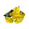 Branche d’Anthurium Jaune