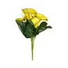Branche d’Anthurium Jaune