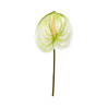 Tige d’Anthurium Artificiel Blanc et Vert
