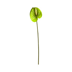 Tige d’Anthurium Artificiel Vert