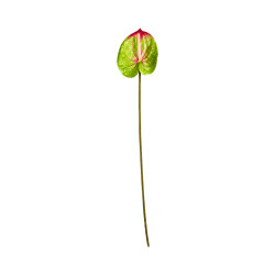 Tige d’Anthurium Artificiel Vert et Rouge