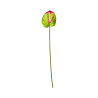 Tige d’Anthurium Artificiel Vert et Rouge