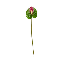 Tige d’Anthurium Artificiel Vert Foncé et Rouge