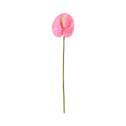 Tige d’Anthurium Artificiel Rose Clair