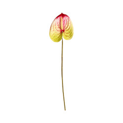 Tige d’Anthurium Artificiel Blanc et Rouge