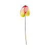 Tige d’Anthurium Artificiel Blanc et Rouge