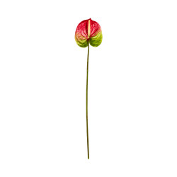Tige d’Anthurium Artificiel Vert et Rouge