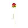 Tige d’Anthurium Artificiel Vert et Rouge