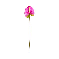 Tige d’Anthurium Artificiel Rose et Vert