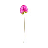 Tige d’Anthurium Artificiel Rose et Vert