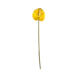 Tige d’Anthurium Artificiel Jaune