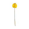Tige d’Anthurium Artificiel Jaune