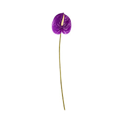 Tige d’Anthurium Artificiel Mauve