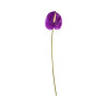 Tige d’Anthurium Artificiel Mauve