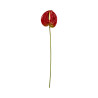 Tige d’Anthurium Artificiel Rouge avec Touche Verte