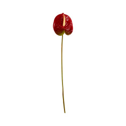 Tige d’Anthurium Artificiel Rouge avec Touche Verte