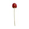 Tige d’Anthurium Artificiel Rouge avec Touche Verte