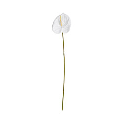 Tige d’Anthurium Artificiel Blanc