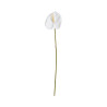 Tige d’Anthurium Artificiel Blanc