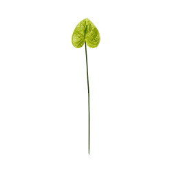 Tige d’Anthurium Artificiel Vert