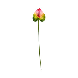 Tige d’Anthurium Artificiel Vert Jaune Rose