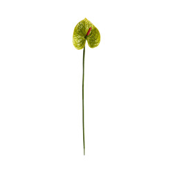 Tige d’Anthurium Artificiel Vert Cœur Rose