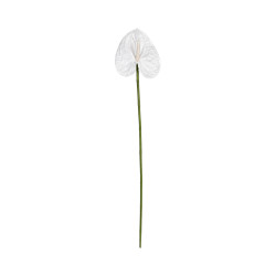 Tige d’Anthurium Artificiel Blanc