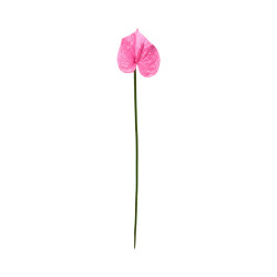 Tige d’Anthurium Artificiel Rose – Pistil Rose