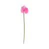 Tige d’Anthurium Artificiel Rose – Pistil Rose