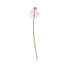 Tige d’Anthurium Artificiel Blanc Pointe Rose