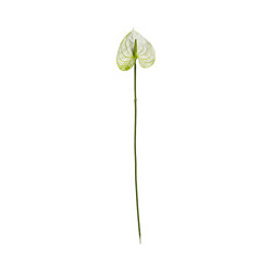 Tige d’Anthurium Artificiel Blanc et Vert