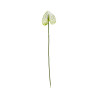 Tige d’Anthurium Artificiel Blanc et Vert