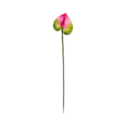 Tige d’Anthurium Artificiel Vert, Blanc et Rose