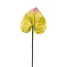 Anthurium Jaune & Rose