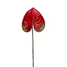 Anthurium Rouge & Vert
