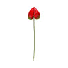 Tige d’Anthurium Artificiel Rouge et Marron