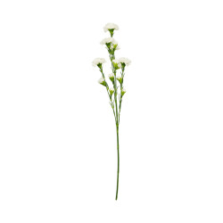 Tige d’Œillet Artificiel Blanc – Longue Tige