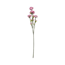 Tige d’Œillet Artificiel Rose et Blanc