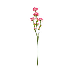 Tige d’Œillet Artificiel Rose Panaché – Longue Tige