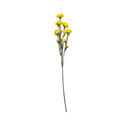 Tige d’Œillet Artificiel Jaune – Longue Tige