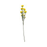 Tige d’Œillet Artificiel Jaune – Longue Tige