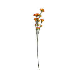 Tige d’Œillet Artificiel Orange – Longue Tige