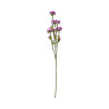 Tige d’Œillet Artificiel Mauve – Longue Tige